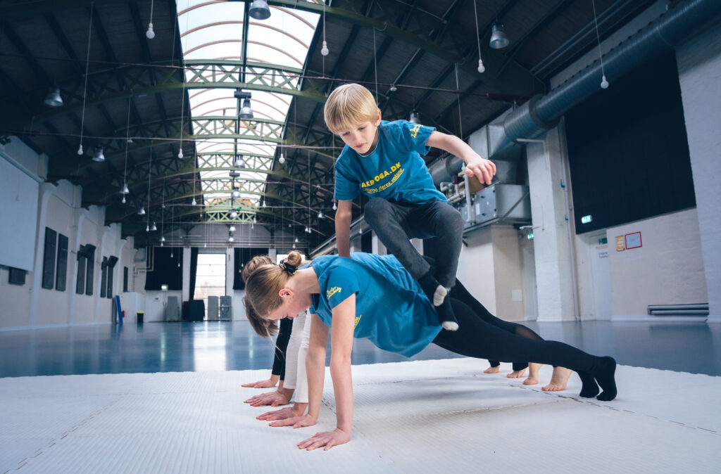 AcroYoga Association